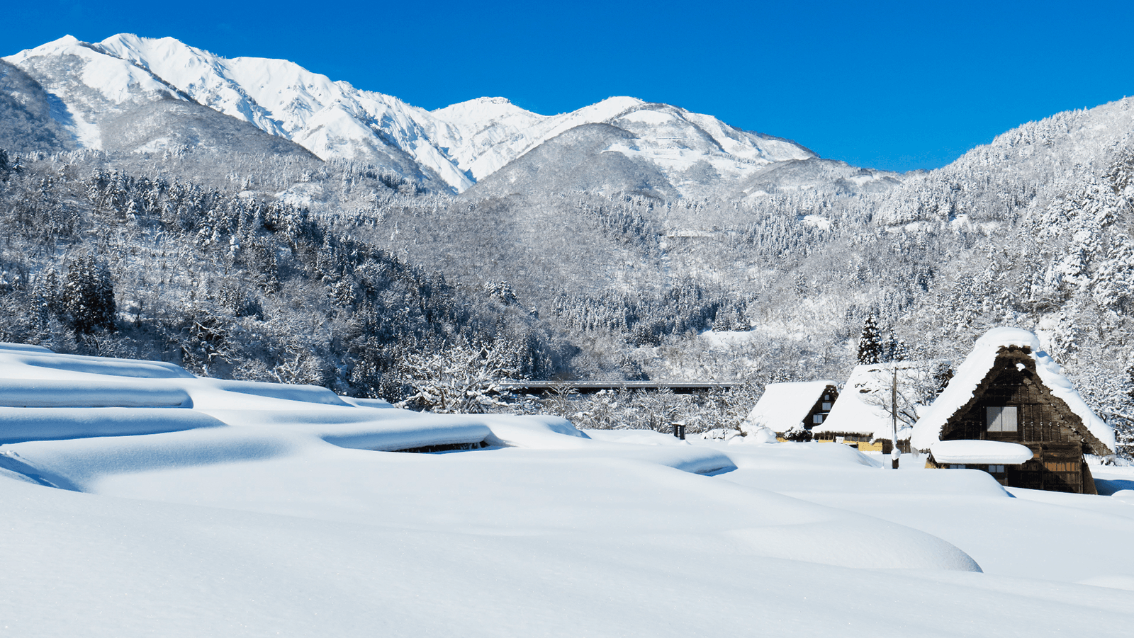 View of Mount Hakusan from the front yard